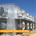 Good Price Low Noise Chicken House Aves de corral Farm Exhaust Fan